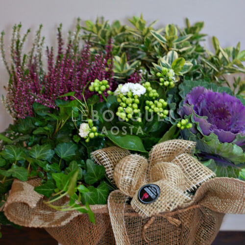 Composizione di piante da esterno