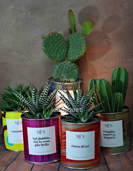 MËN, piante grasse con qualcosa da dire