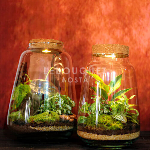Terrarium con luce led